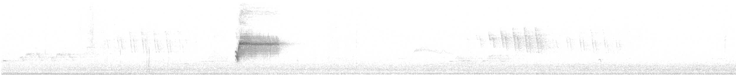 Тауї плямистий - ML619772287