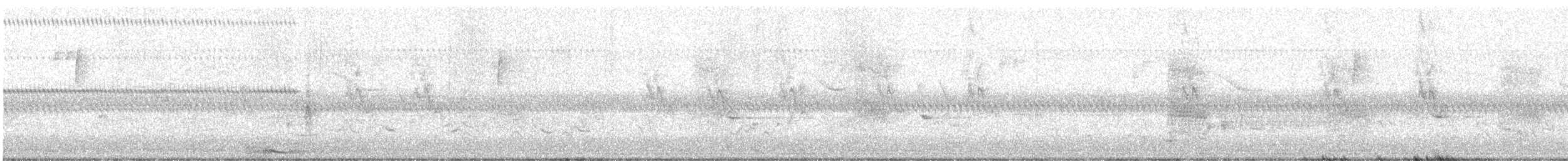 Sperlingsvogel, unbestimmt - ML619772956