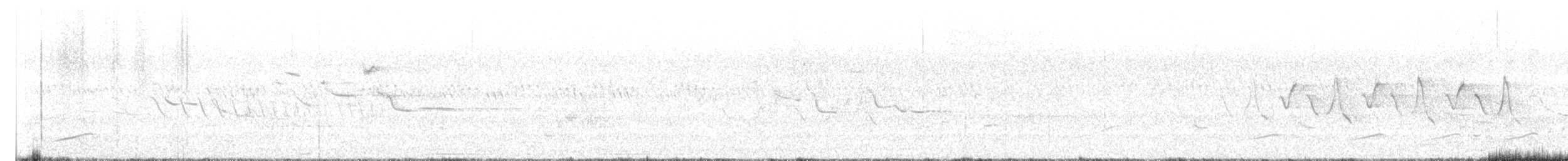 Ring-necked Pheasant - ML619775272