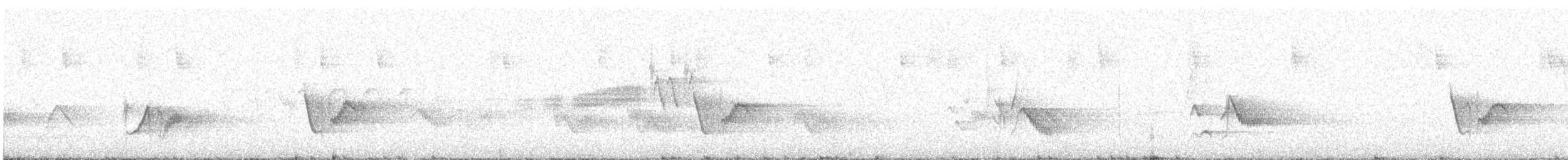 Cassin's Vireo - ML619776831