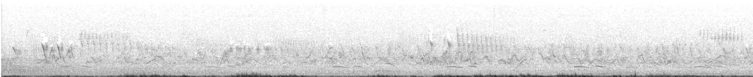 Common Poorwill - ML619777809