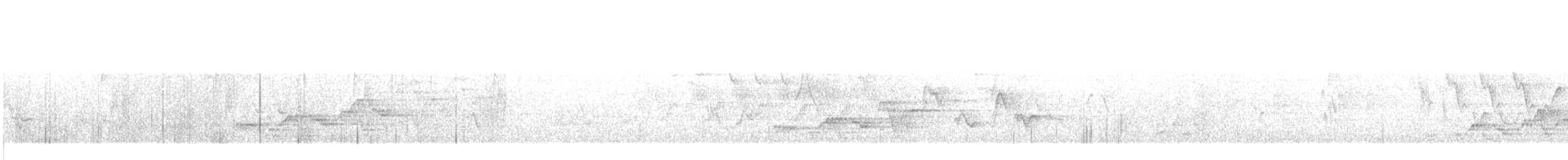 Дрізд-короткодзьоб Cвенсона - ML619780998
