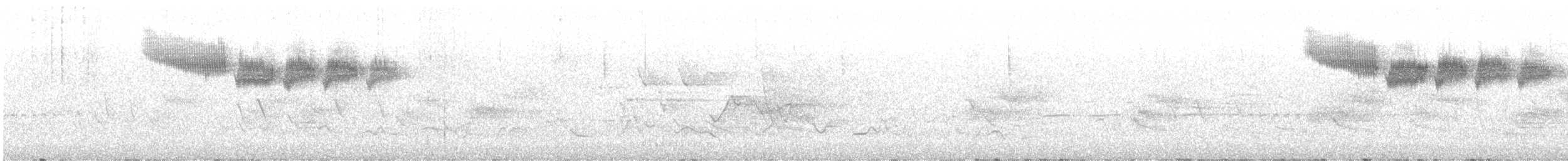 雑種 キンバネアメリカムシクイ ｘ アオバネアメリカムシクイ（F1雑種） - ML619781878