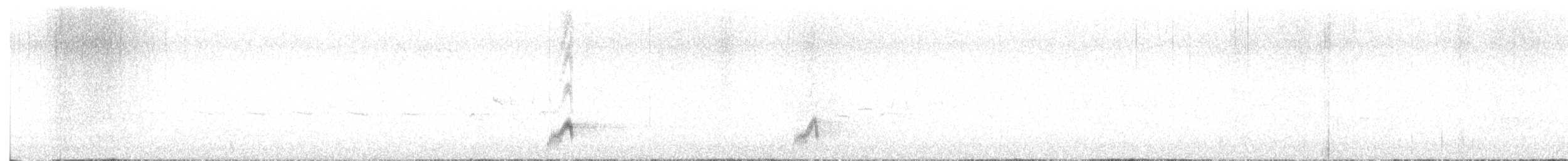 Nachtschwalbe - ML619782721