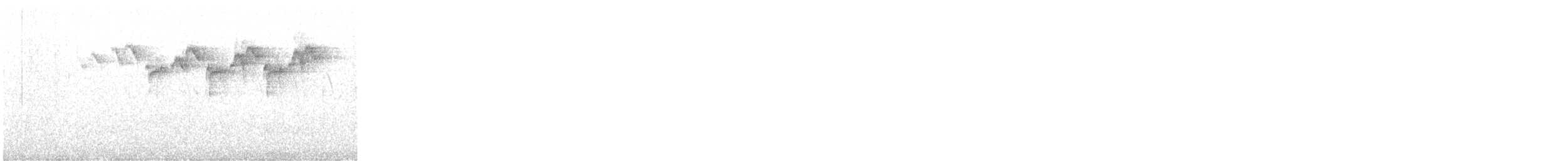 Black-and-white Warbler - ML619784075