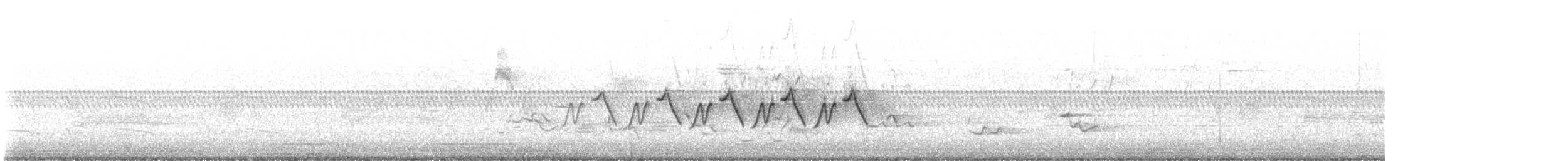 Paruline masquée - ML619786684