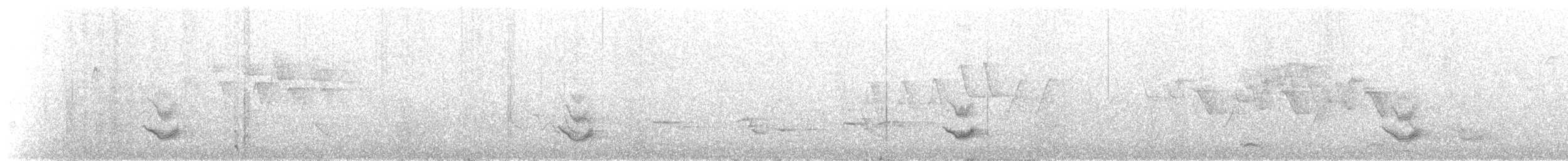 Дрізд-короткодзьоб бурий - ML619787041