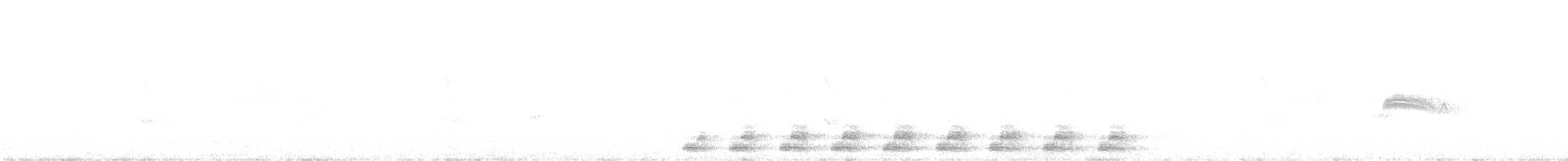 Trogon élégant - ML619787277