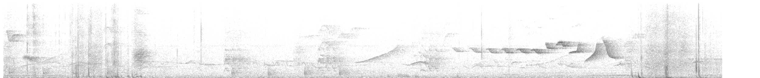 Paruline des rochers - ML619787478