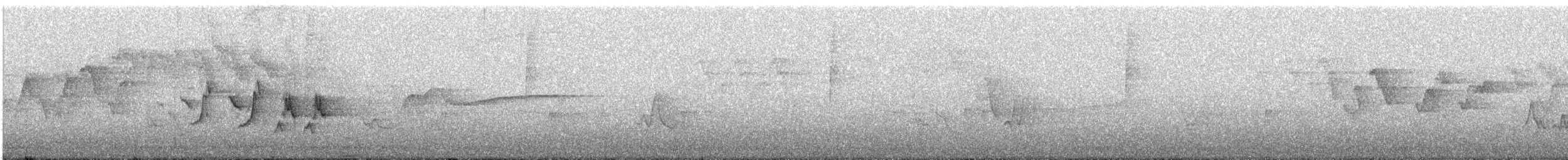 Черногорлая хвойница - ML619787514