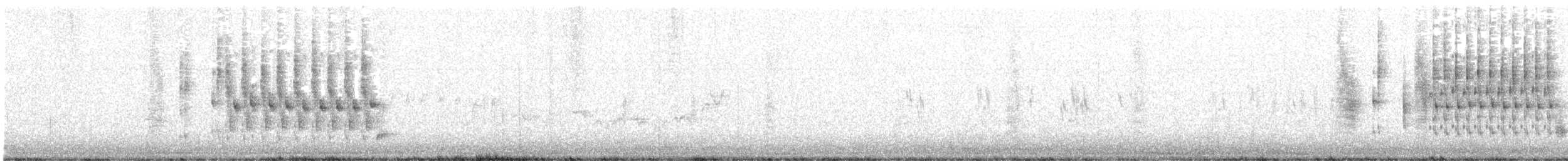 Troglodyte des marais (groupe palustris) - ML619788221