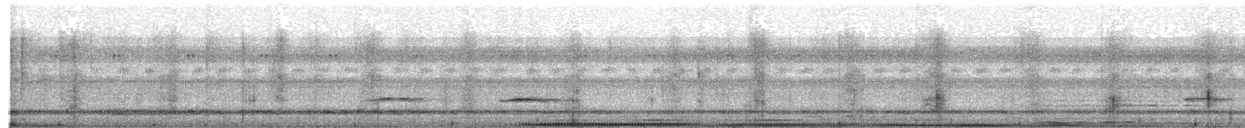 Plaintive Cuckoo - ML619789502