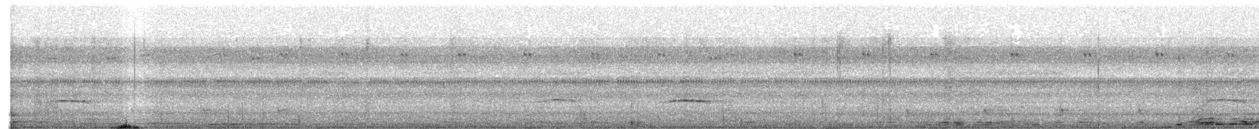 Plaintive Cuckoo - ML619789677