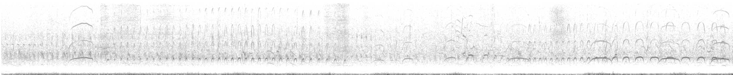 Американский кулик-сорока - ML619790928