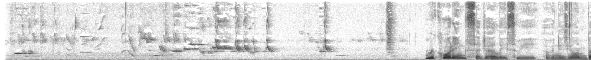 Méliphage carillonneur - ML619791126
