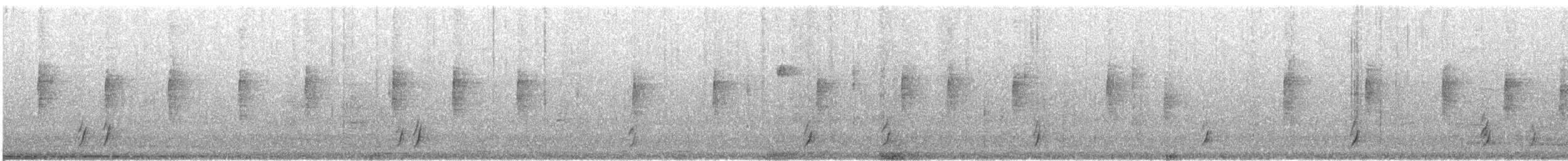 Дрізд-короткодзьоб Cвенсона - ML619791522