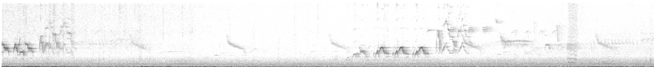 Дрізд-короткодзьоб Cвенсона - ML619794943