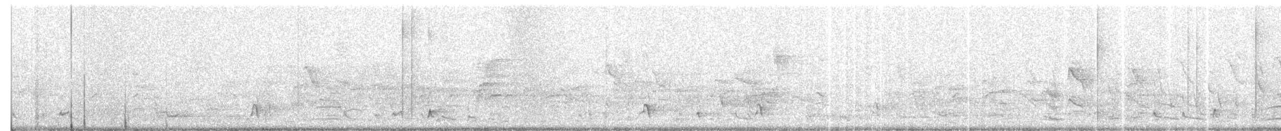 Regent Honeyeater - ML619795790