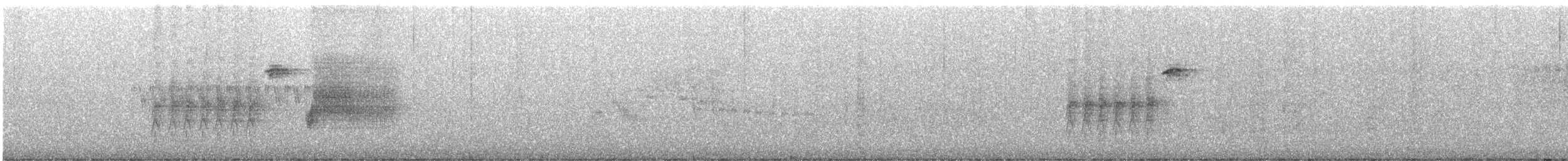 Тауї плямистий - ML619797688