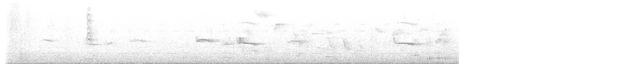 Новозеландская веерохвостка - ML619798809