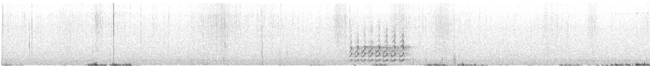 jespák pobřežní (ssp. couesi) - ML619798869