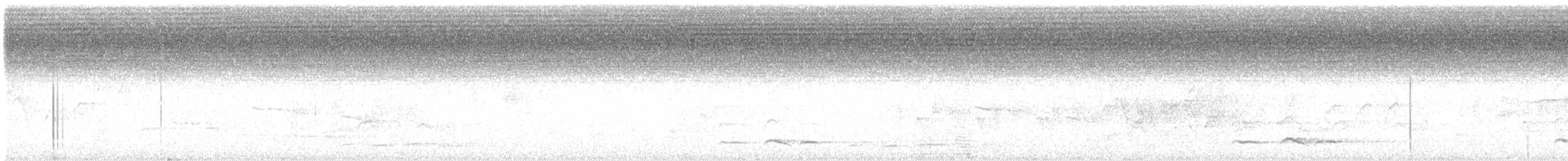 Зозуля білогорла - ML619799658