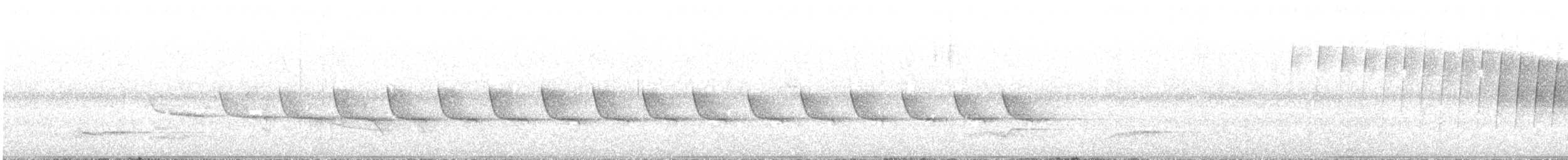 Pouillot siffleur - ML619800116