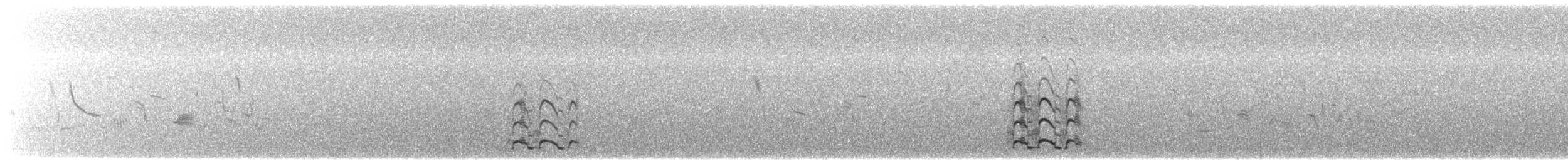 אווז לבן-מצח (מערבי) - ML619800329