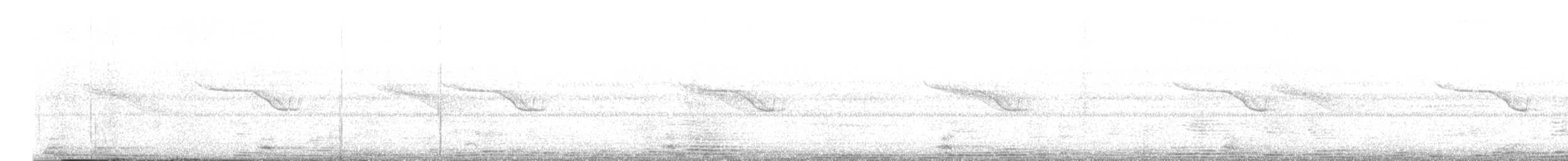 Breitspiegel-Nachtschwalbe - ML619800820
