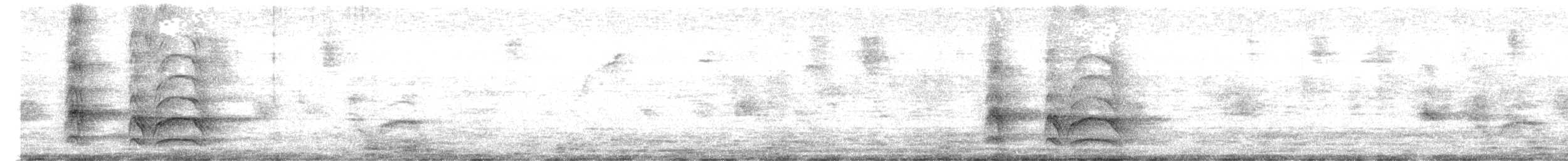 Büyük Kiskadi Tiranı - ML619802302