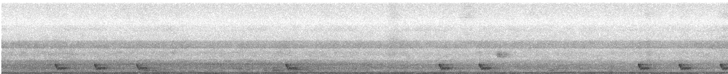 Large-tailed Nightjar - ML619803299