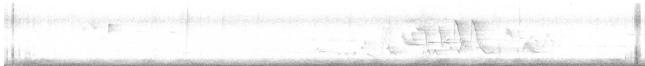 Oriole des vergers - ML619803736