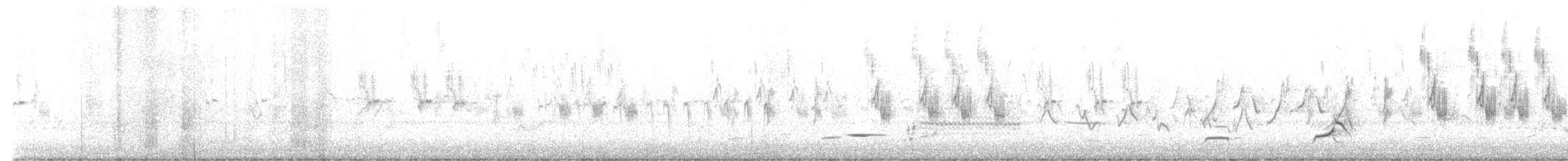 Colino della Virginia - ML619803991