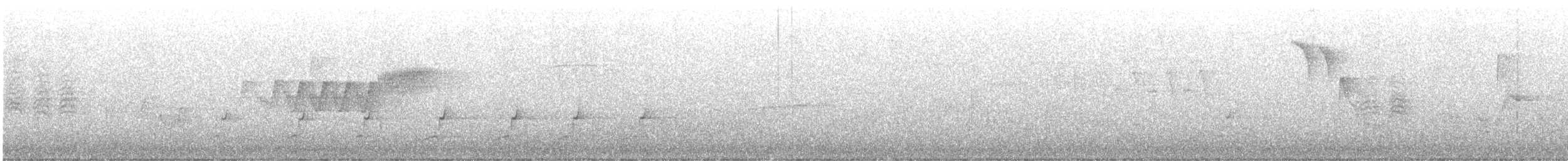 Cerulean Warbler - ML619805381