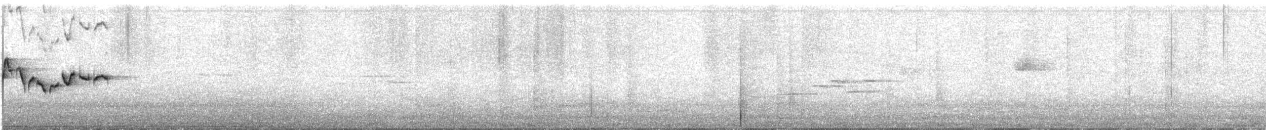 Тимелія-куцохвіст велика (підвид albiventer/pallidior) - ML619805473