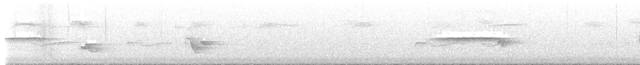 Paruline vermivore - ML619805515