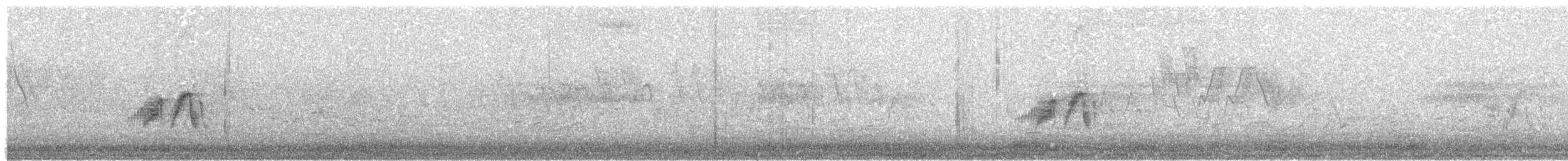 oreempid - ML619805875