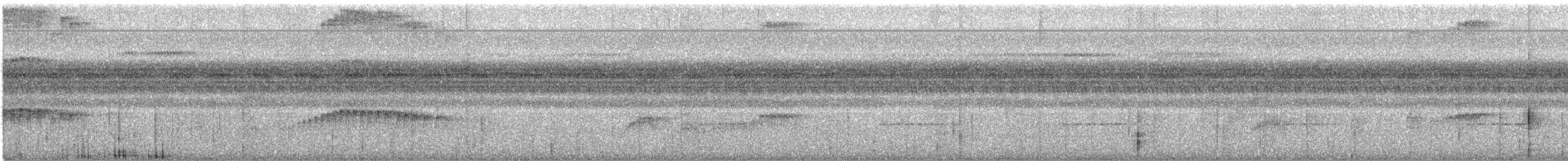 Orange-eyed Flatbill - ML619806796