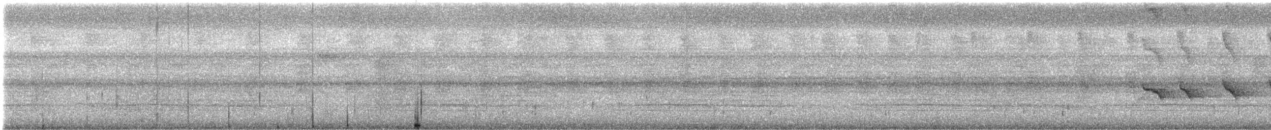 Nacktstirn-Ameisenvogel - ML619806957