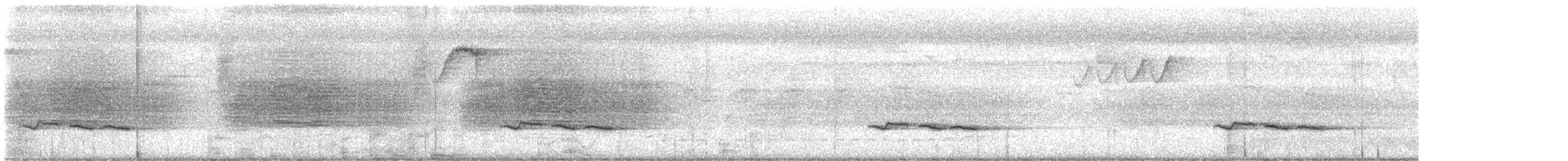 Ak Gerdanlı Çıtkuşu (pittieri/costaricensis) - ML619807436