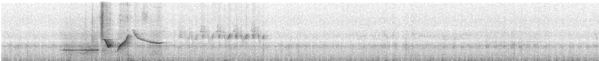 Gray-bellied Tesia - ML619807884