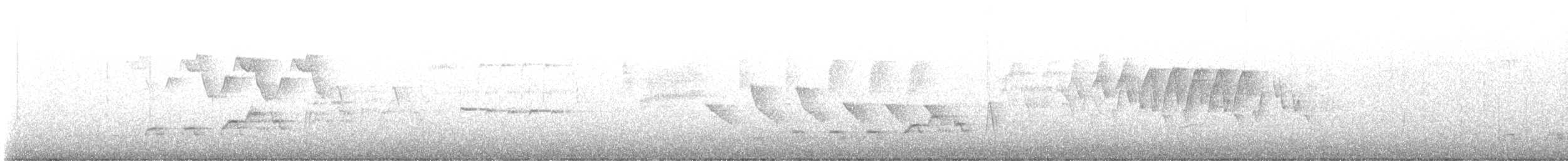 Дрізд-короткодзьоб Cвенсона - ML619810395