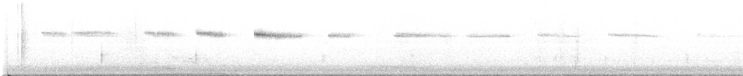 Широкохвостый колибри - ML619811163