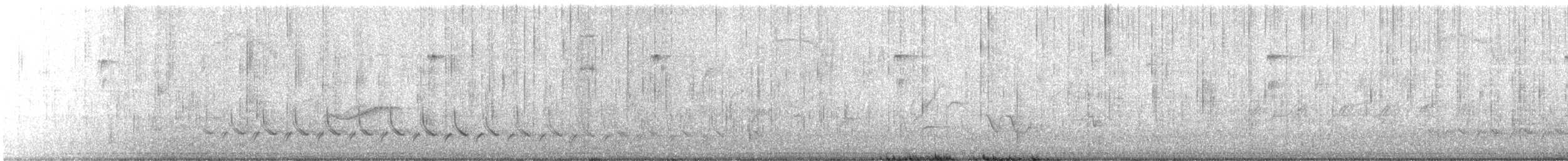 Hellbauch-Schnäppertyrann - ML619811788