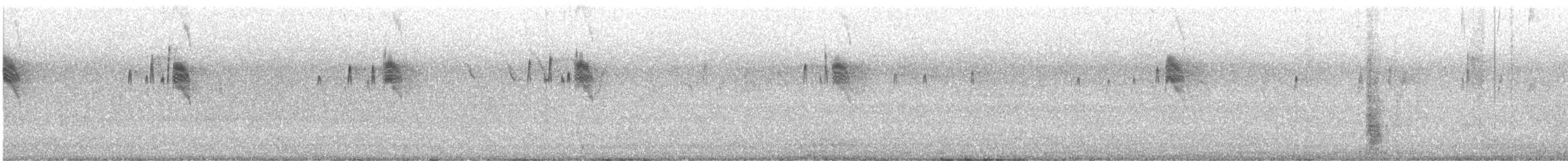 Schieferrücken-Königstyrann - ML619811940