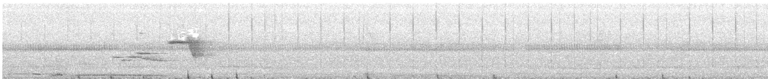 holub kovový [skupina aenea] - ML619812120