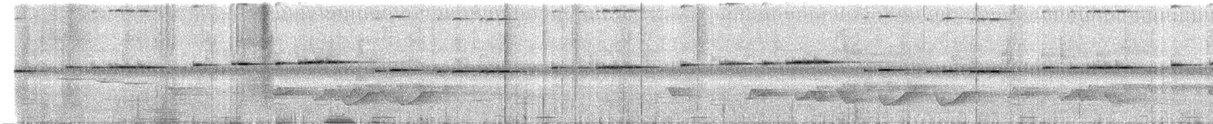 Spotted Elachura - ML619812484