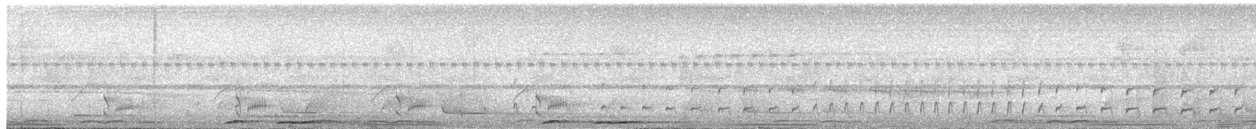 Rotschwanz-Ameisenvogel - ML619812568