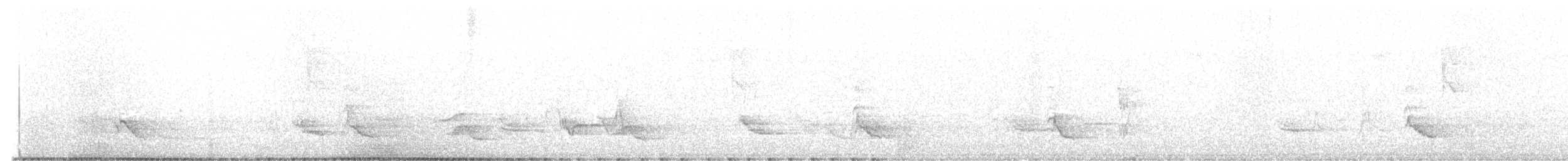 Rotfußdrossel (ardosiaceus/albiventris) - ML619813277