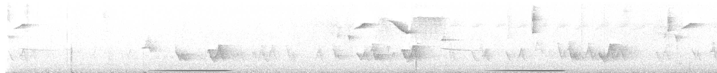 Bahama Bıldırcın Kumrusu - ML619813379